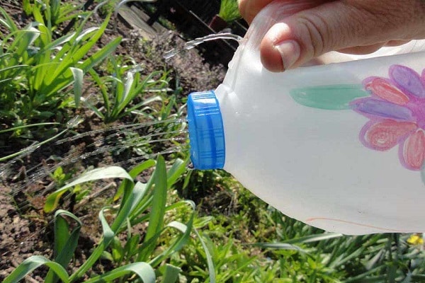 Tận dụng chai nhựa để làm bình tưới nước cho cây